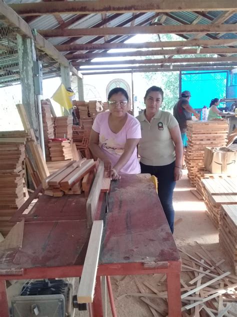 CRECIENDO RAÍCES / MUJERES EBANISTAS DEL。